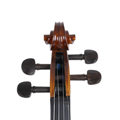 VANETTA VL-5 / 1/2 Masif Keman (Abanoz Burgu ve Aksam)